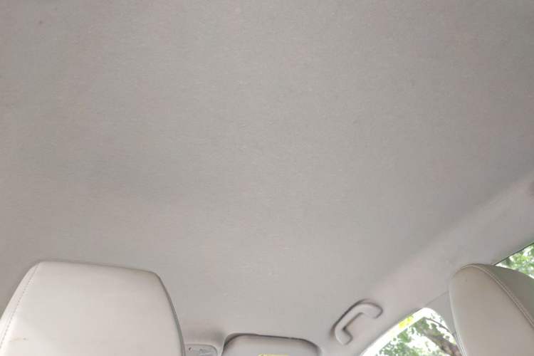 Used BYD Yuan Pro 2021 "Love for a Lifetime" Edition Headliner