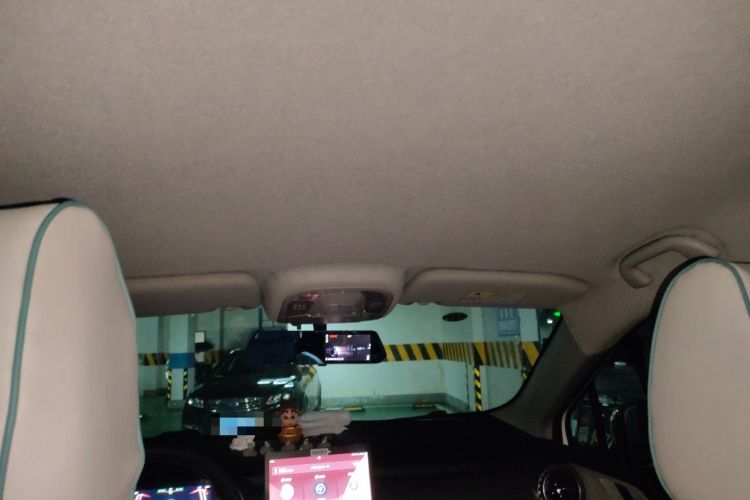 Used BYD Yuan Pro 2021 "Love for a Lifetime" Edition Headliner