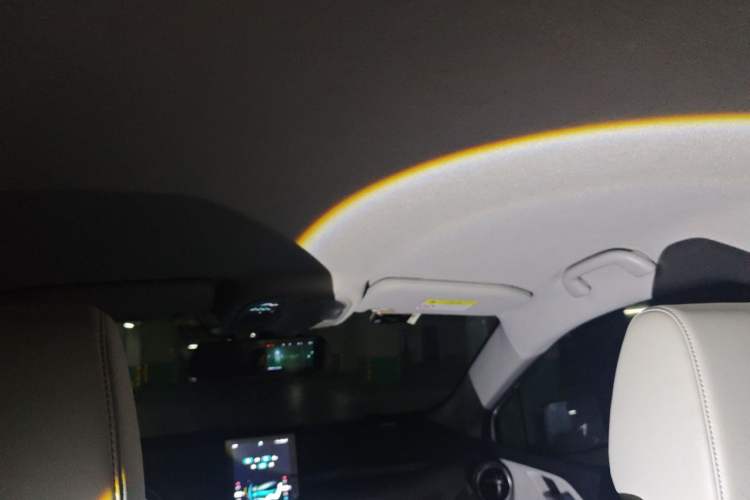 Used BYD Yuan Pro 2021 401 km Luxury Version Headliner