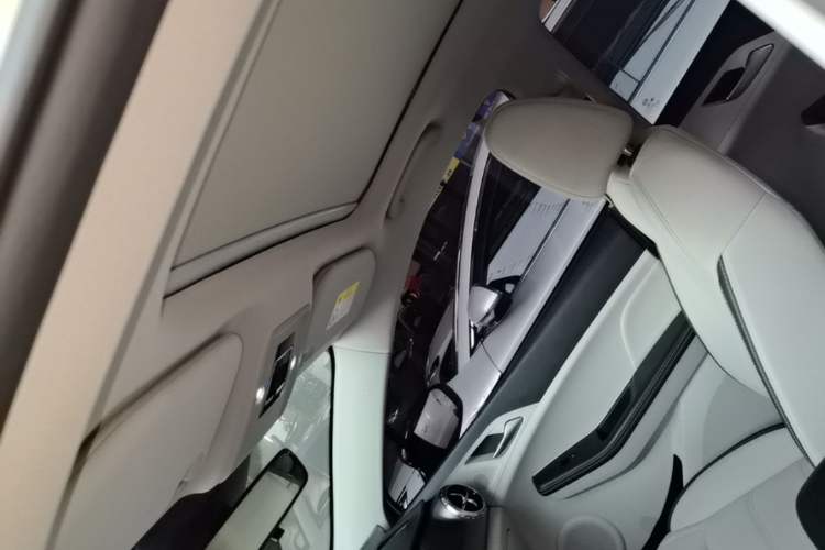 Used BYD Yuan Pro 2021 401 km Deluxe Version Headliner