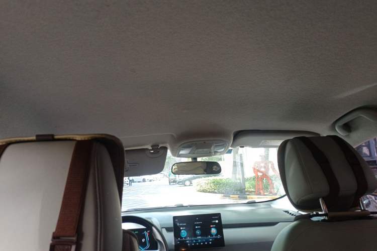 Used BYD Yuan Pro 2021 401 km Luxury Version Headliner