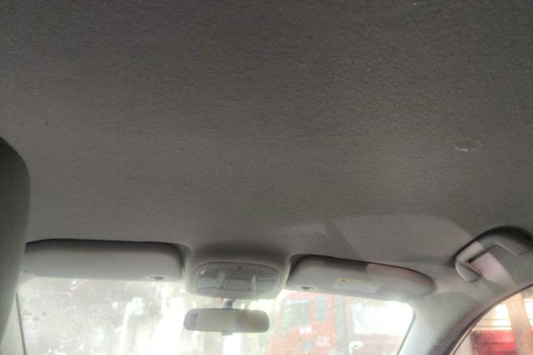 Used BYD Yuan Pro 2021 "Love for a Lifetime" Edition Headliner