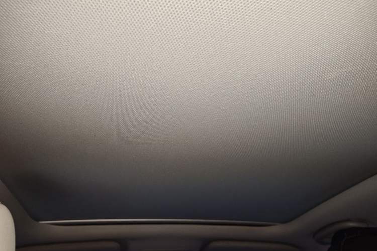 Used BYD Yuan Pro 2021 Lifetime Edition Headliner