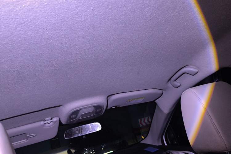 Used BYD Yuan Pro 2021 401 km Luxury Version Headliner