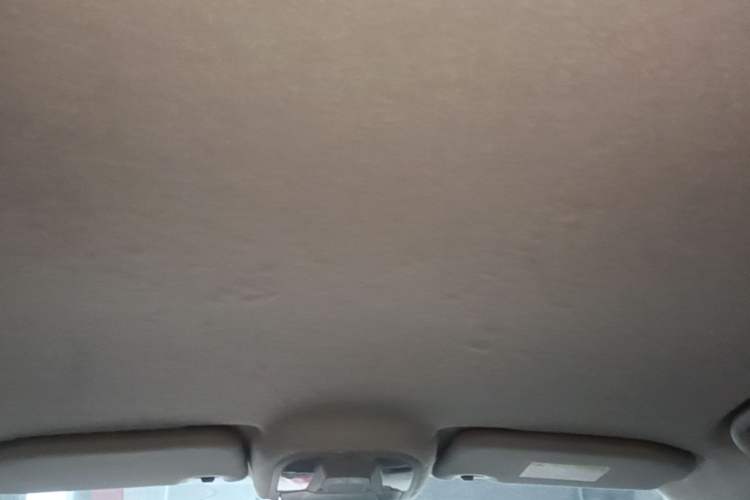 Used BYD Yuan Pro 2021 "Love for a Lifetime" Edition Headliner