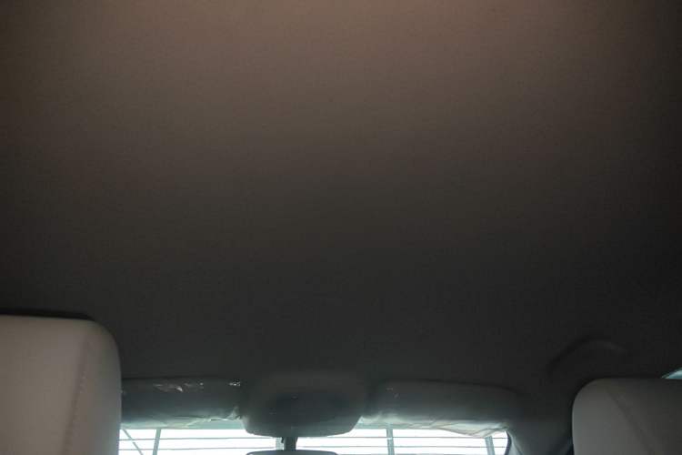 Used BYD Yuan Pro 2021 401 km Luxury Version Headliner