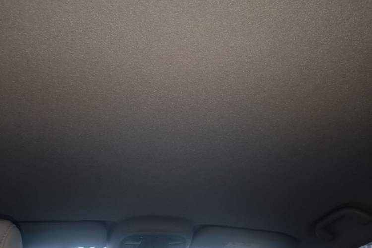 Used BYD Yuan Pro 2021 401 km Luxury Version Headliner