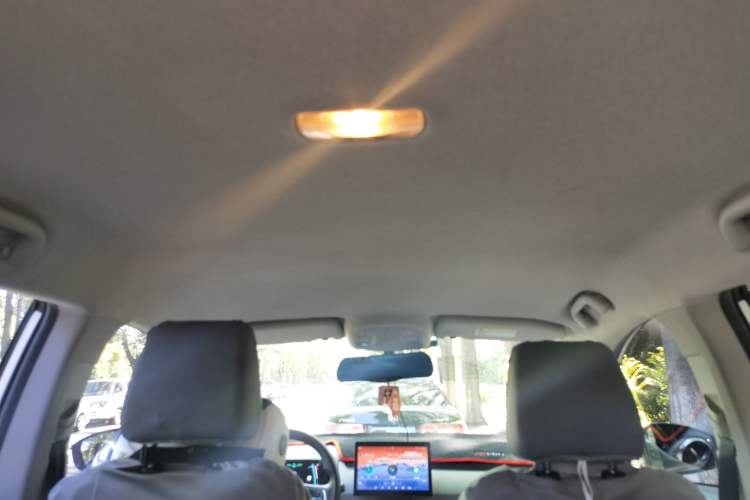 Used BYD Yuan Pro 2021 "Love for a Lifetime" Edition Headliner