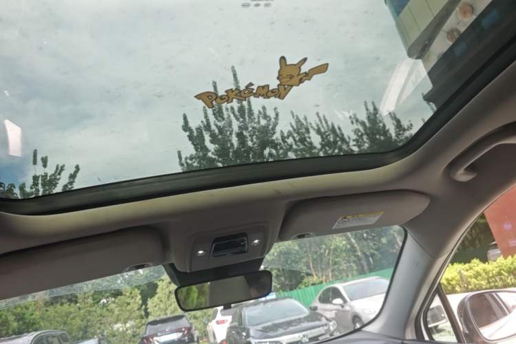 Used BYD Yuan Pro 2021 Lifetime Edition Headliner