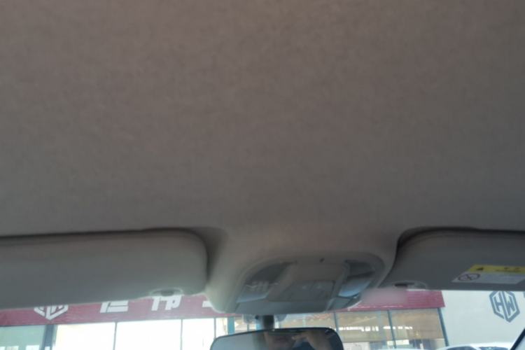 Used BYD Yuan Pro 2021 401 km Luxury Version Headliner
