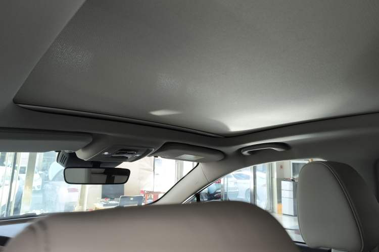 Used BYD Yuan Pro 2021 401 km Deluxe Version Headliner