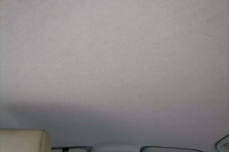 Used BYD Yuan Pro 2021 401 km Luxury Version Headliner