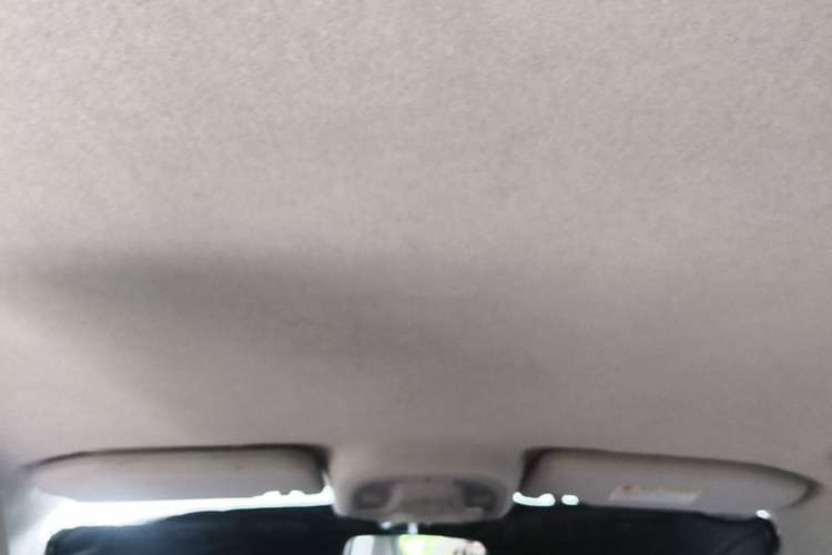 Used BYD Yuan Pro 2021 401 km Luxury Version Headliner