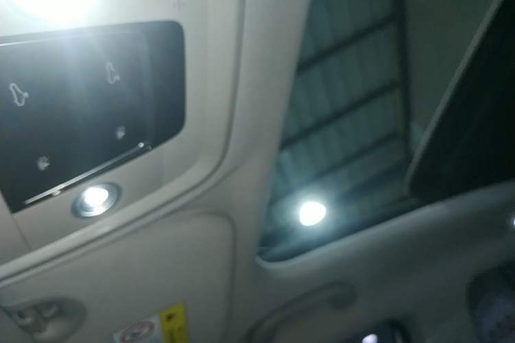 Used BYD Yuan Pro 2021 Lifetime Edition Headliner