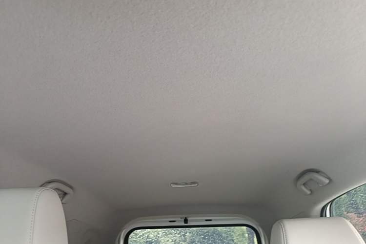 Used BYD Yuan Pro 2021 Lifetime Edition Headliner