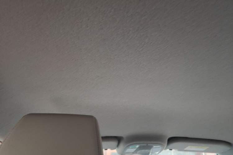 Used BYD Yuan Pro 2021 401 km Luxury Version Headliner