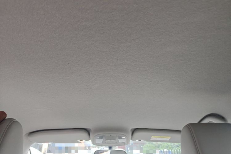 Used BYD Yuan Pro 2021 401 km Deluxe Version Headliner