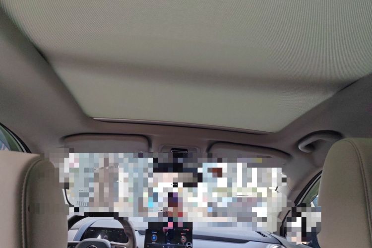 Used BYD Yuan Pro 2021 401 km Deluxe Version Headliner