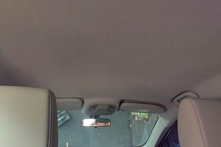 Used BYD Yuan Pro 2021 401 km Luxury Version Headliner