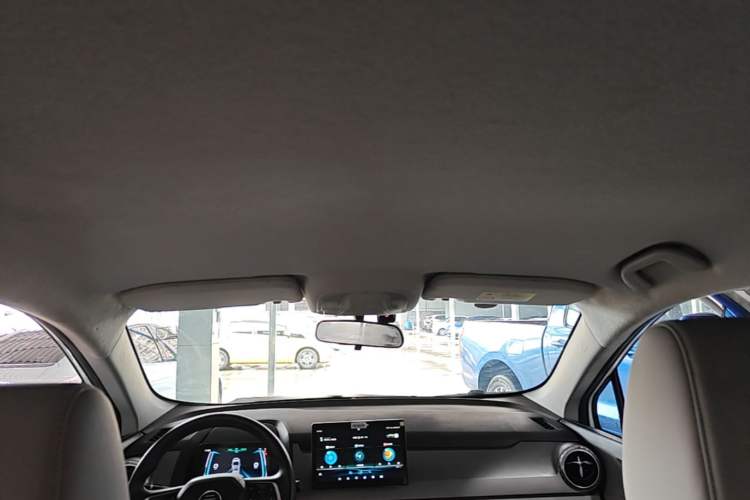 Used BYD Yuan Pro 2021 401 km Luxury Version Headliner