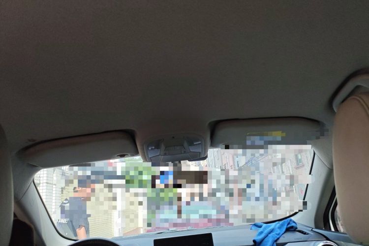 Used BYD Yuan Pro 2021 401 km Luxury Version Headliner