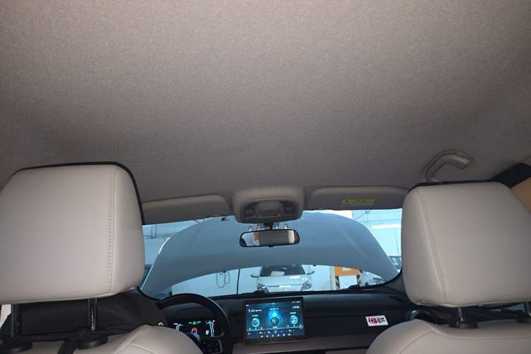 Used BYD Yuan Pro 2021 "Love for a Lifetime" Edition Headliner