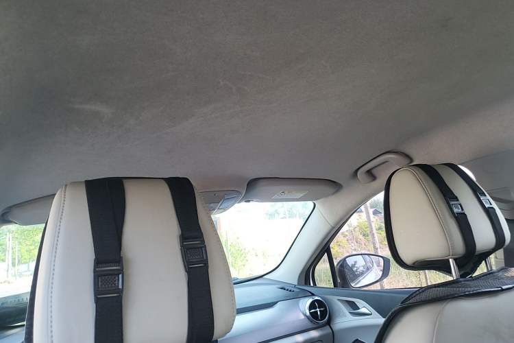 Used BYD Yuan Pro 2021 "Love for a Lifetime" Edition Headliner