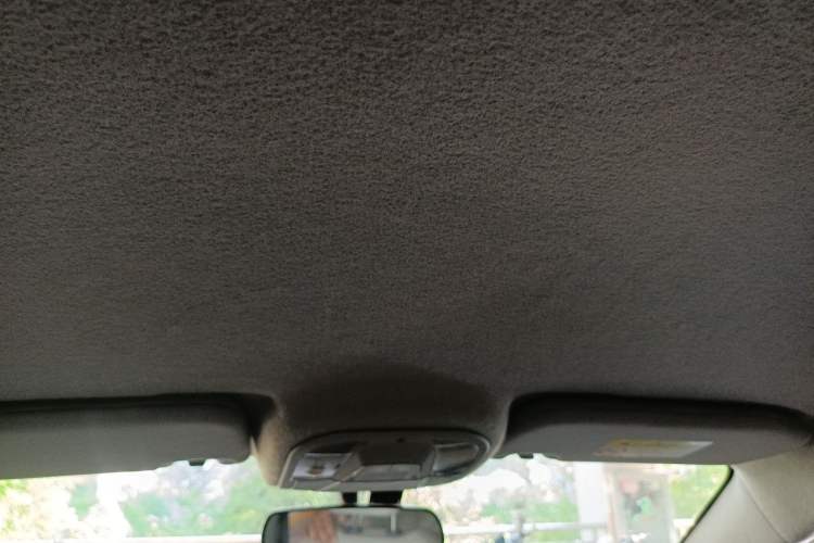 Used BYD Yuan Pro 2021 401 km Luxury Version Headliner