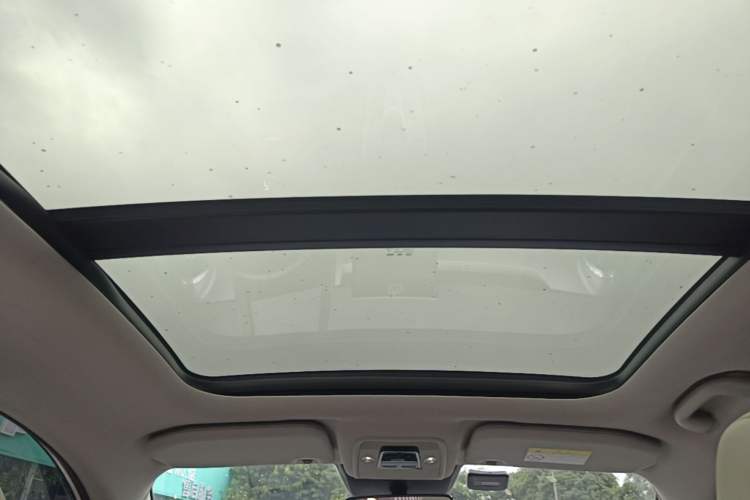 Used BYD Yuan Pro 2021 Lifetime Edition Headliner