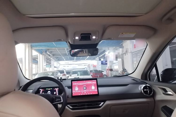 Used BYD Yuan Pro 2021 Lifetime Edition Headliner