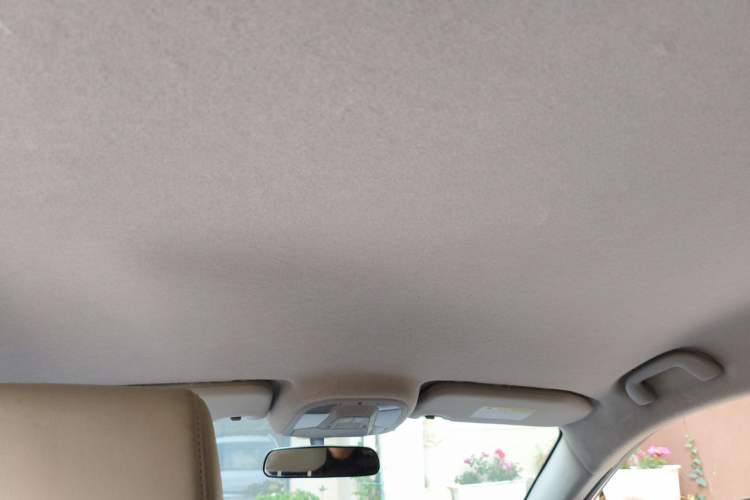 Used BYD Yuan Pro 2021 401 km Luxury Version Headliner