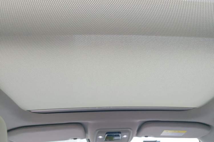 Used BYD Yuan Pro 2021 401 km Deluxe Version Headliner