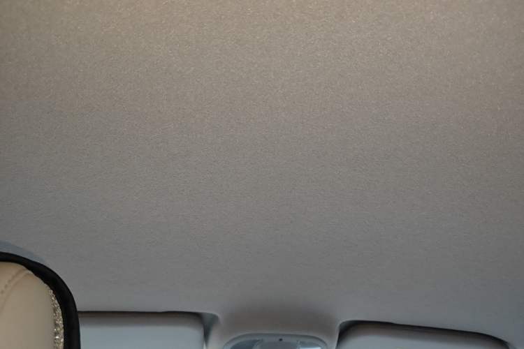 Used BYD Yuan Pro 2021 401 km Luxury Version Headliner