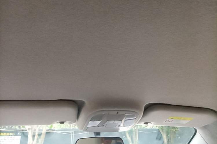 Used BYD Yuan Pro 2021 401 km Luxury Version Headliner