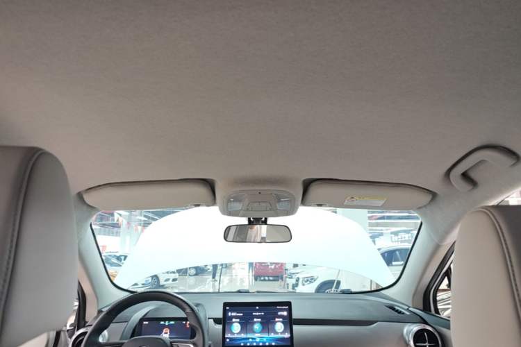 Used BYD Yuan Pro 2021 401 km Luxury Version Headliner