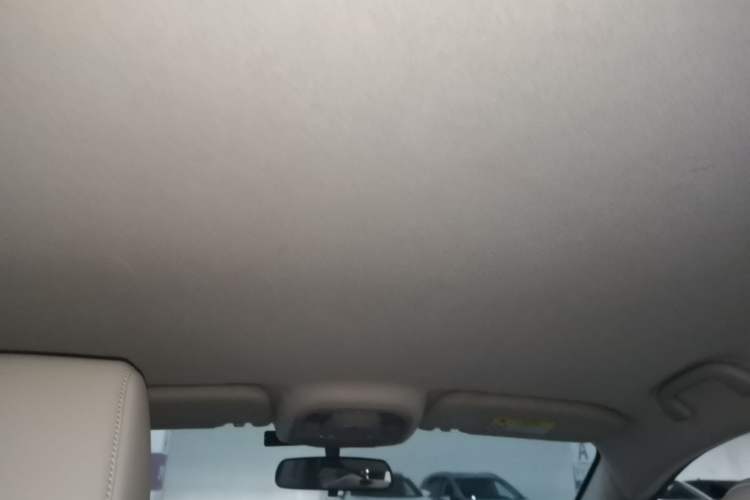Used BYD Yuan Pro 2021 "Love for a Lifetime" Edition Headliner