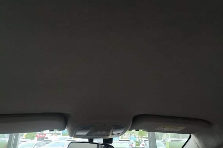 Used BYD Yuan Pro 2021 401 km Luxury Version Headliner