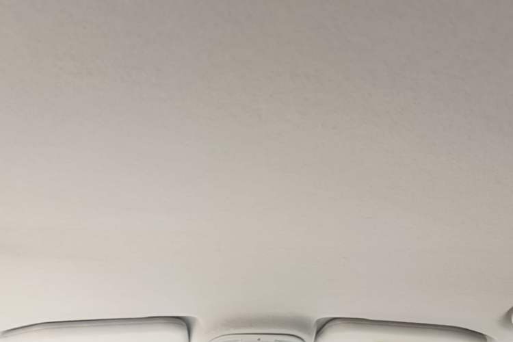 Used BYD Yuan Pro 2021 401 km Luxury Version Headliner
