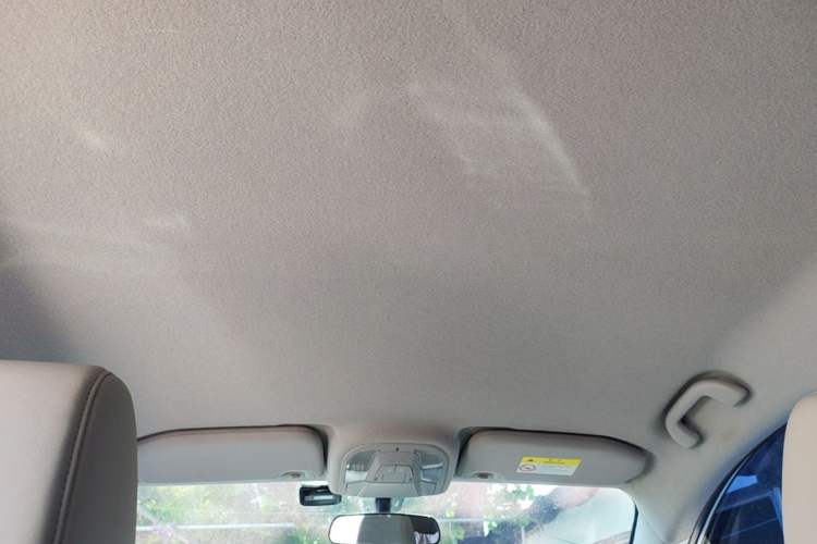 Used BYD Yuan Pro 2021 401 km Luxury Version Headliner