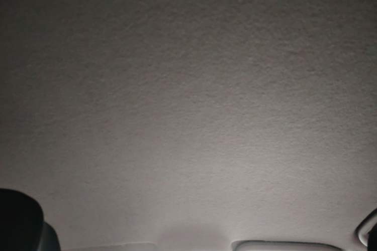Used BYD Yuan Pro 2021 401 km Luxury Version Headliner