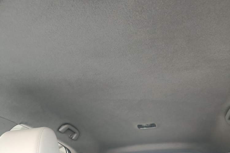 Used BYD Yuan Pro 2021 "Love for a Lifetime" Edition Headliner