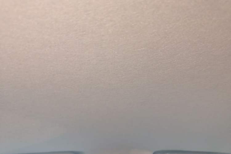 Used BYD Yuan Pro 2021 401 km Luxury Version Headliner