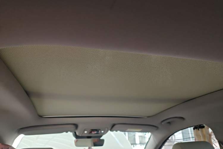 Used BYD Yuan Pro 2021 401 km Deluxe Version Headliner