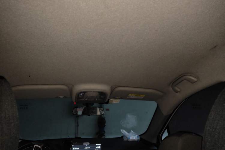 Used BYD Yuan Pro 2021 "Love for a Lifetime" Edition Headliner