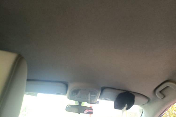 Used BYD Yuan Pro 2021 401 km Luxury Version Headliner