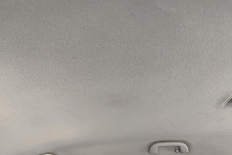 Used BYD Yuan Pro 2021 401 km Luxury Version Headliner