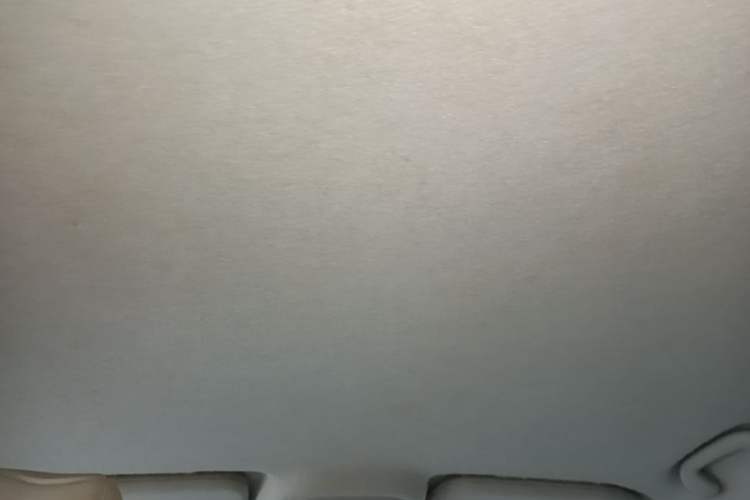 Used BYD Yuan Pro 2021 "Love for a Lifetime" Edition Headliner