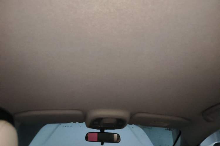 Used BYD Yuan Pro 2021 401 km Luxury Version Headliner