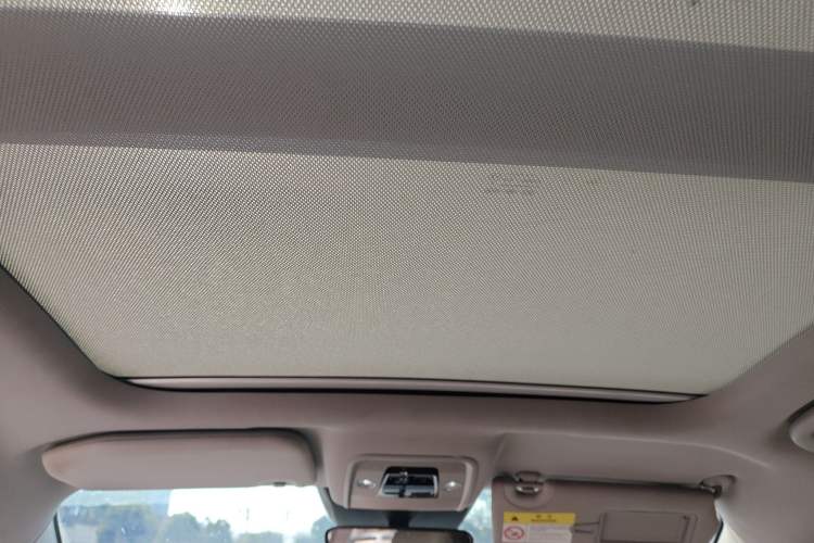Used BYD Yuan Pro 2021 401 km Deluxe Version Headliner