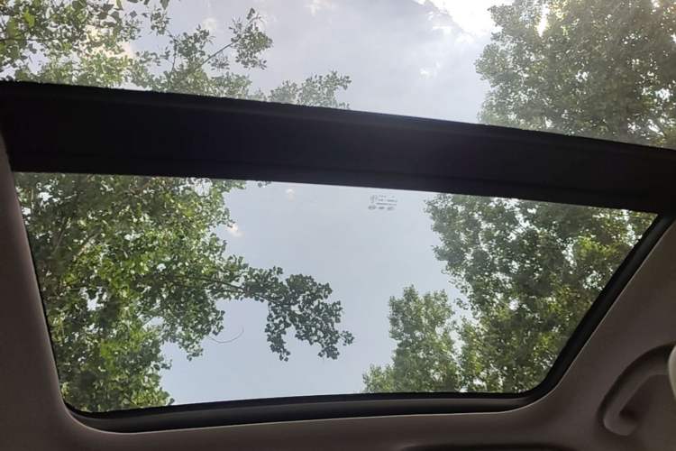 Used BYD Yuan Pro 2021 "Love for a Lifetime" Edition Headliner